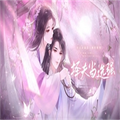 择夫当选强橙光手游无广告版