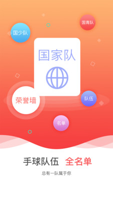 中国手球协会正版图3