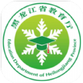 龙教通正版