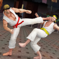 散打武术模拟免费版