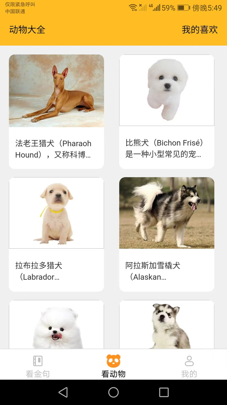 口袋乐看安卓官方版图1