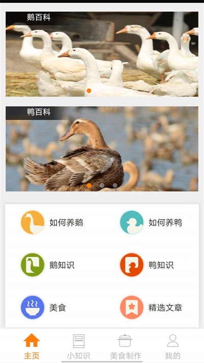 鹅鸭之家2026安卓直装版图1
