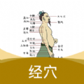 经络穴位指南正版