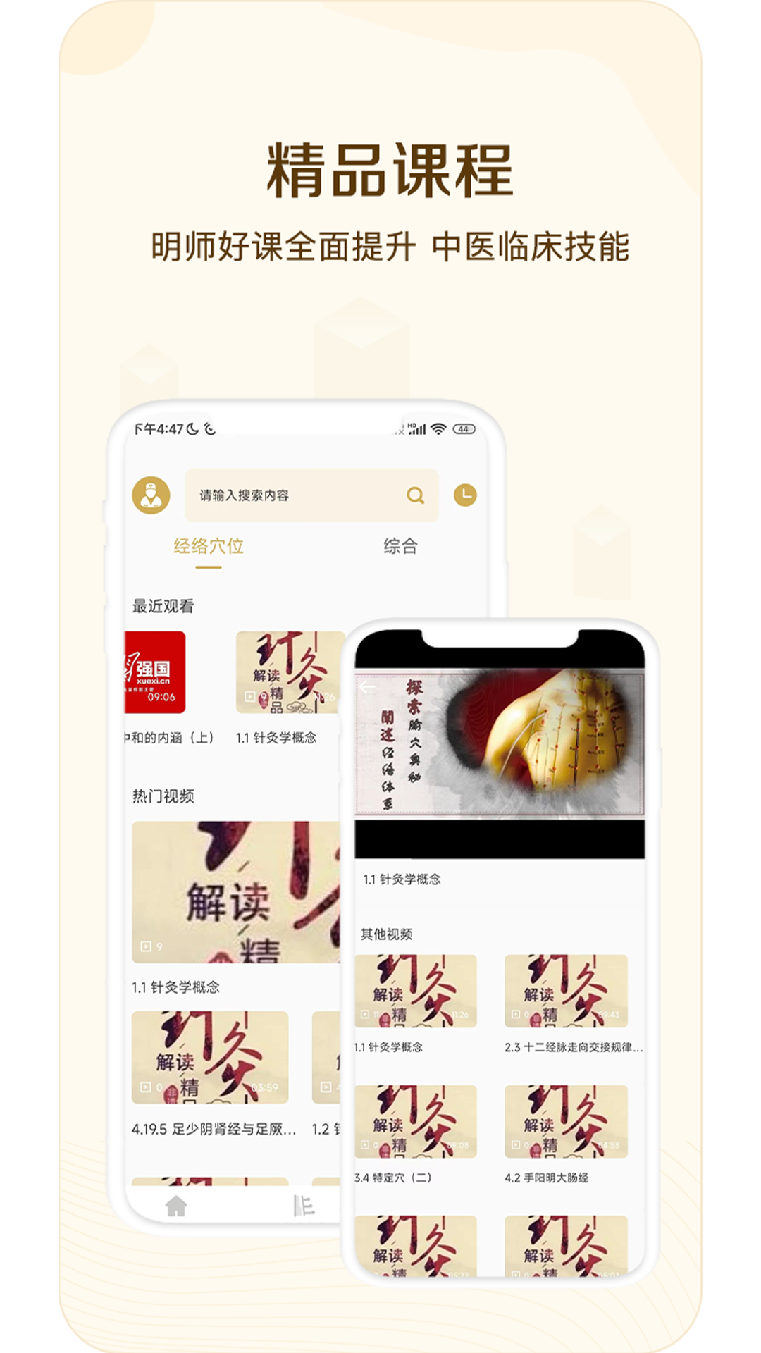 经络穴位指南正版