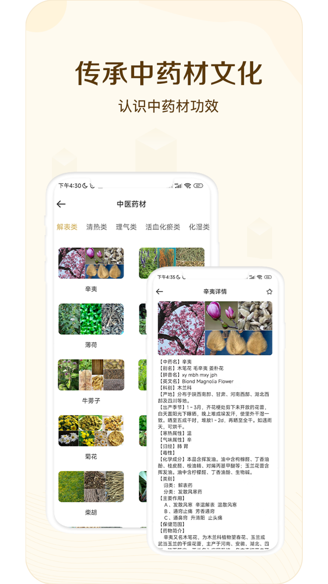经络穴位指南正版