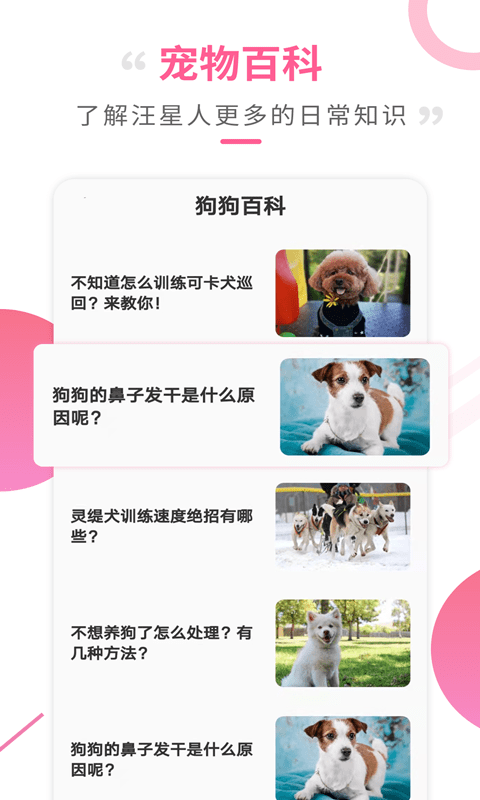 狗语翻译工具免费原版图3