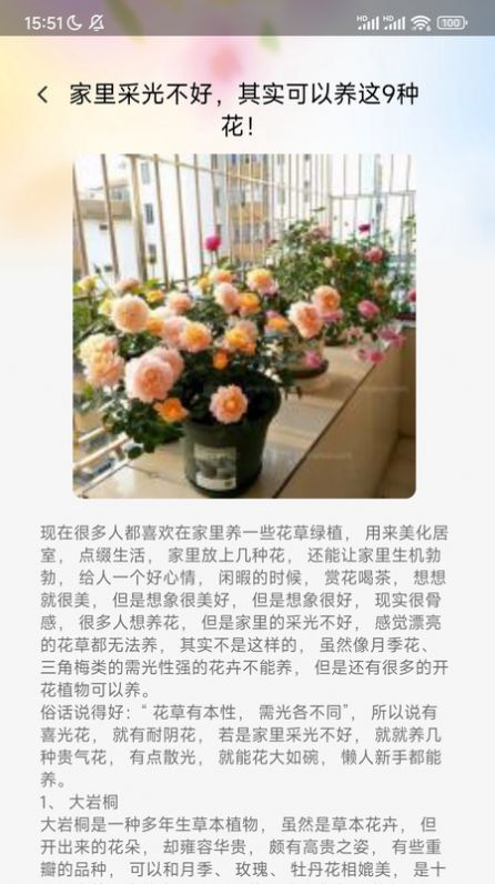 妙看百花直装版