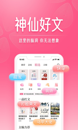 红袖小说正版