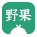 野果阅读手机正版