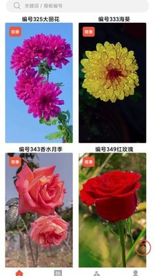 左拍通用版图2