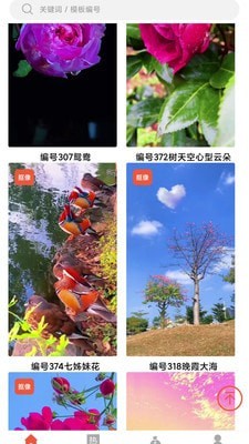 左拍通用版图3