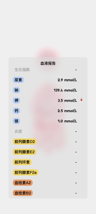 生命LIFE中文汉化版