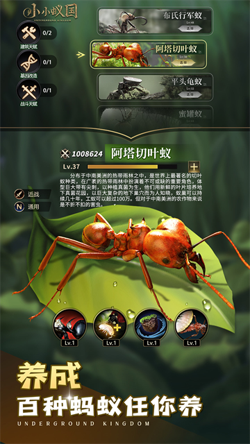 小小蚁国极速发育版