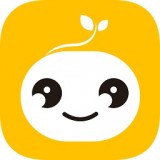豆芽壳直装版