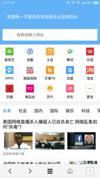VIP浏览器老版本(1)