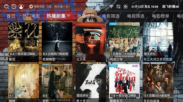 路飞秒播4k电视盒子版(4)