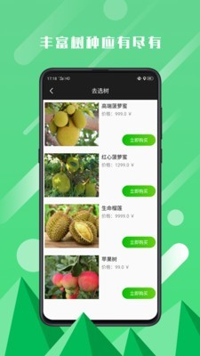 庄主直装版图4