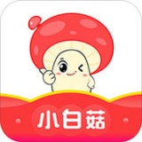 小白菇直装版