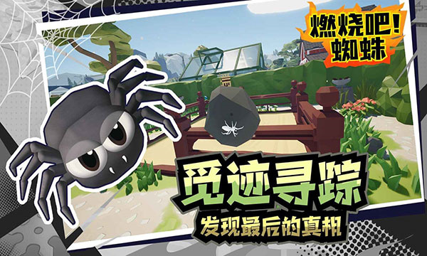 燃烧吧蜘蛛-图4