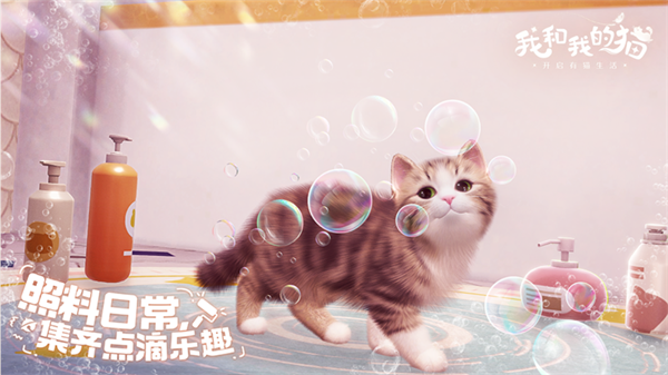 我和我的猫游戏纯净版