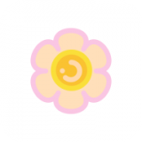 花花收纳正版