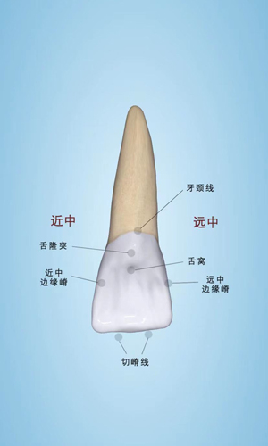 口腔健康计划手机正版