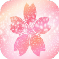 樱花壁纸手机免费版