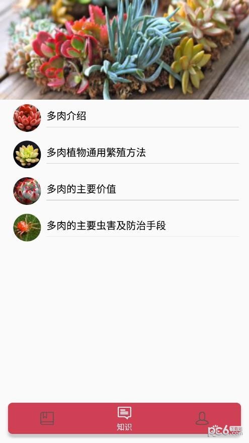小墨多肉日记安卓直装版