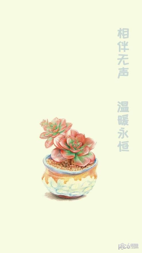 小墨多肉日记安卓直装版