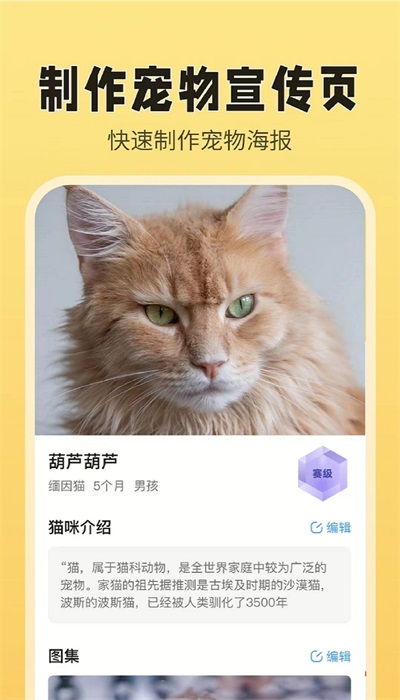 猫老板无广告版图3