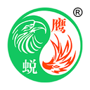 鹰蜕商机官方正版