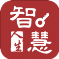 智慧人生安卓直装版