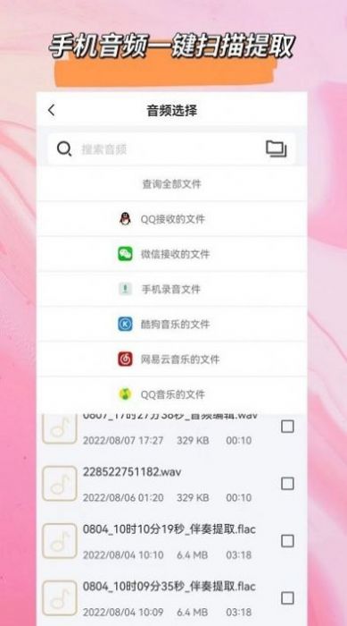 音频格式转换大师通用版图1