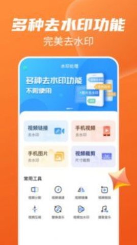 视频去水印工具正版