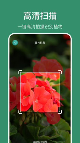 花仙识花草手机版图3