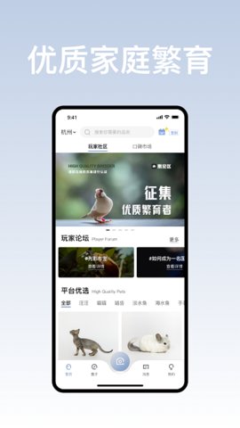集宠区通用版