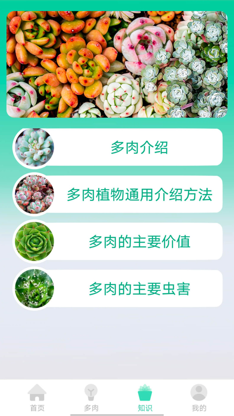 掌中百科最新版图2