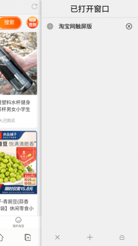 闪电浏览器手机最新版图1