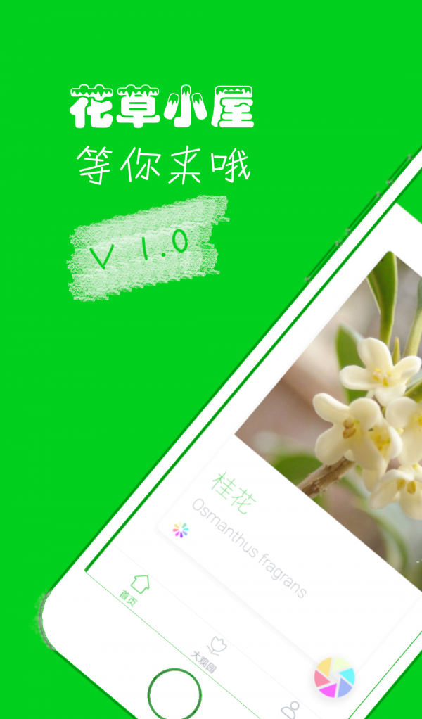 花草小屋官方正版图1