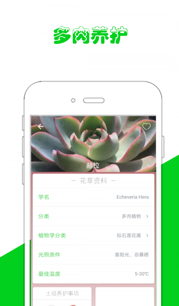 花草小屋官方正版图2