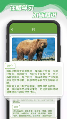 小熊削削削安卓官方版图3