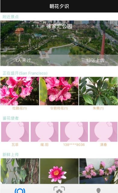 朝花夕识官方版图2