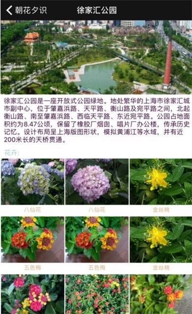 朝花夕识官方版图3