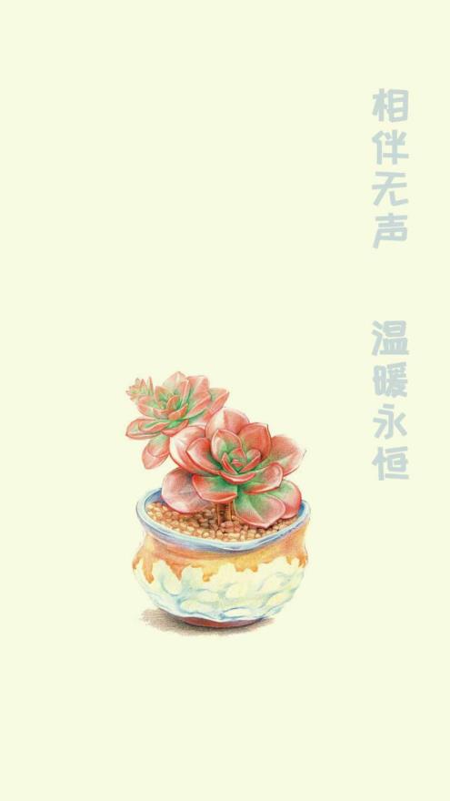 小墨多肉日记记录官方最新版