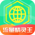 流量精灵王安卓免费版