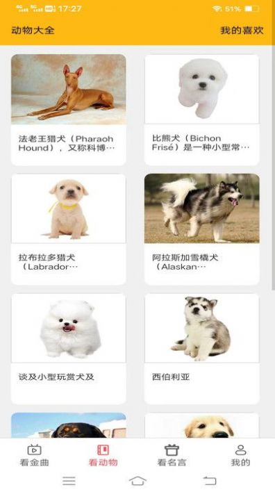 金牌聚看手机正版图3