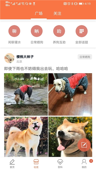 有狗官方版