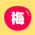 莓梅工具箱直装版