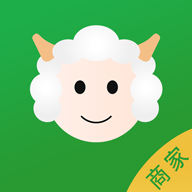 小羊拼团商家端最新版