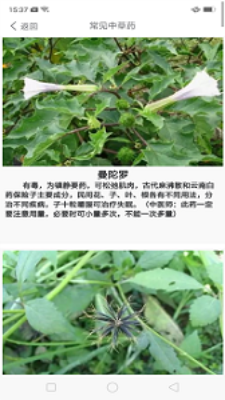 中药养生记原版